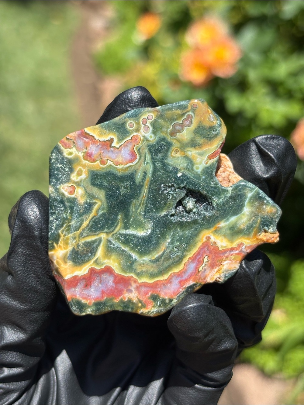 Ocean Jasper Crystal Freeform - Druzy Sea Jasper - Polished